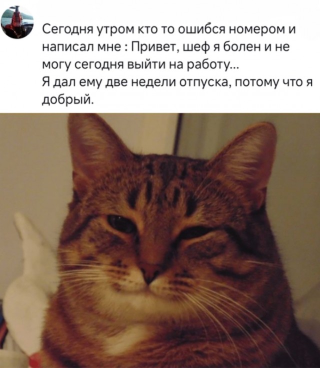 Весёлый полтишок 13.07.25