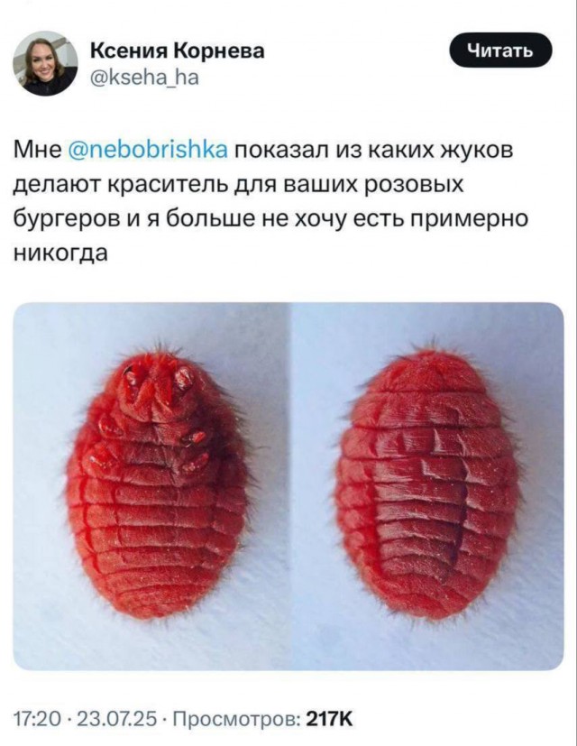 Живите теперь с этим