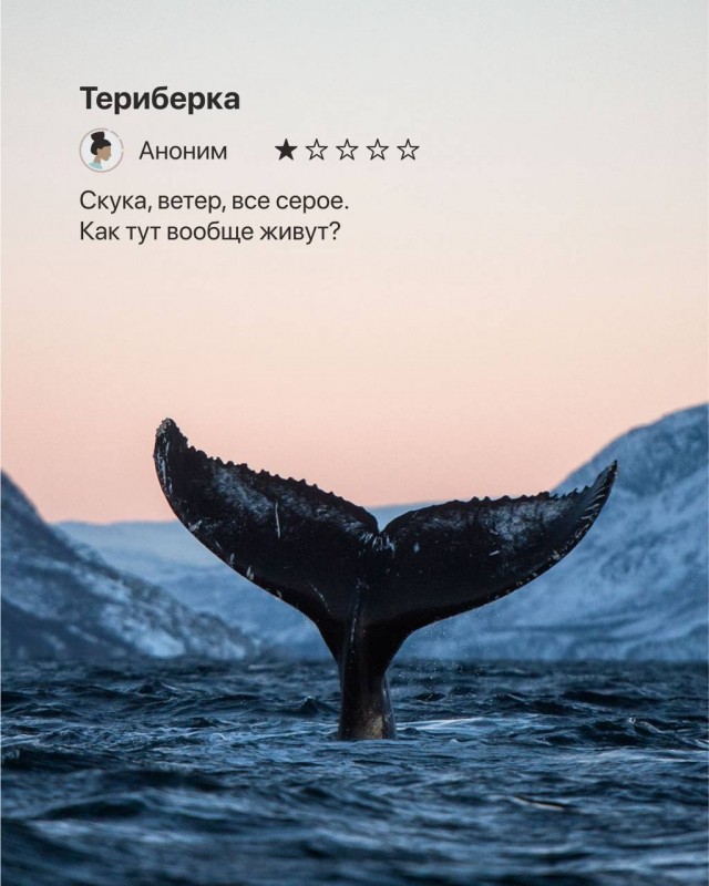 Даже самые красивые и уникальные места планеты кому-то не нравятся: просто почитайте эти реальные отзывы.