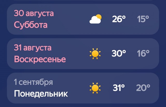 Сова, потеснись