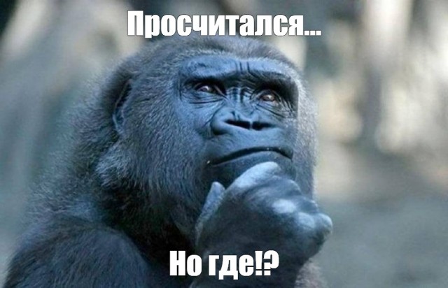 Проверка поговорки