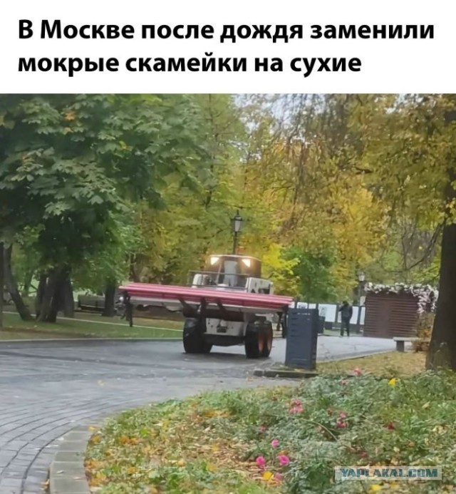 Забавные и не очень скромные картинки - 18