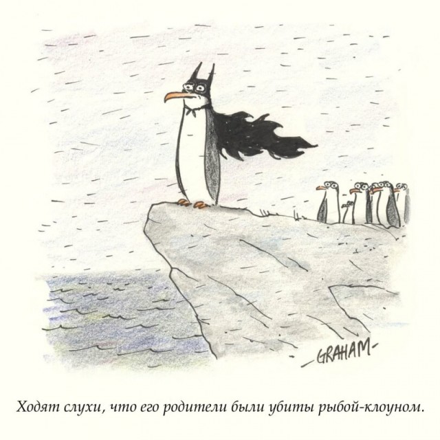 Веселых картинок вам в ленту