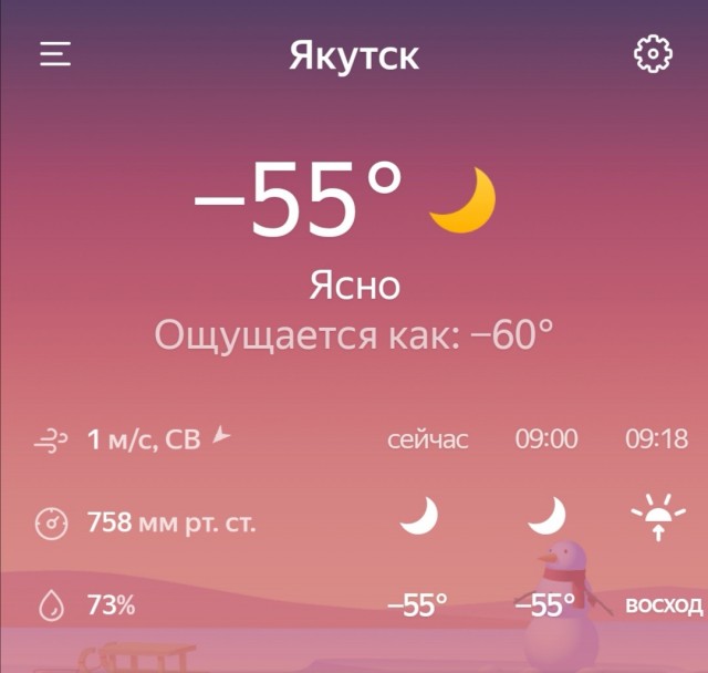 Из дома лучше не выходить. МЧС предупреждает, что морозы в Петербурге усилятся
