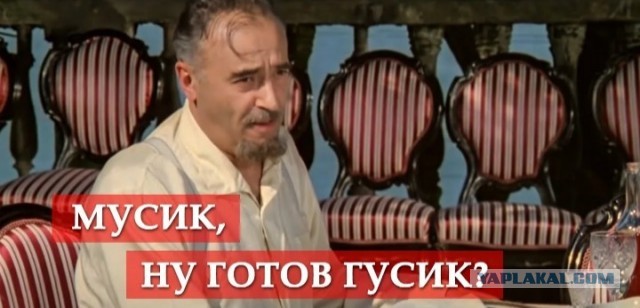 Конкурс по жарке гуся в Дунгуане