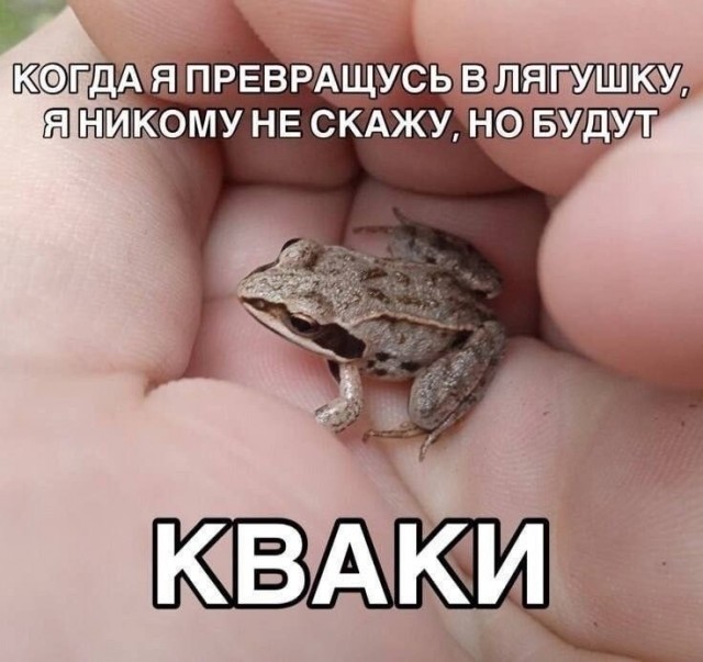 Пятничные картинки
