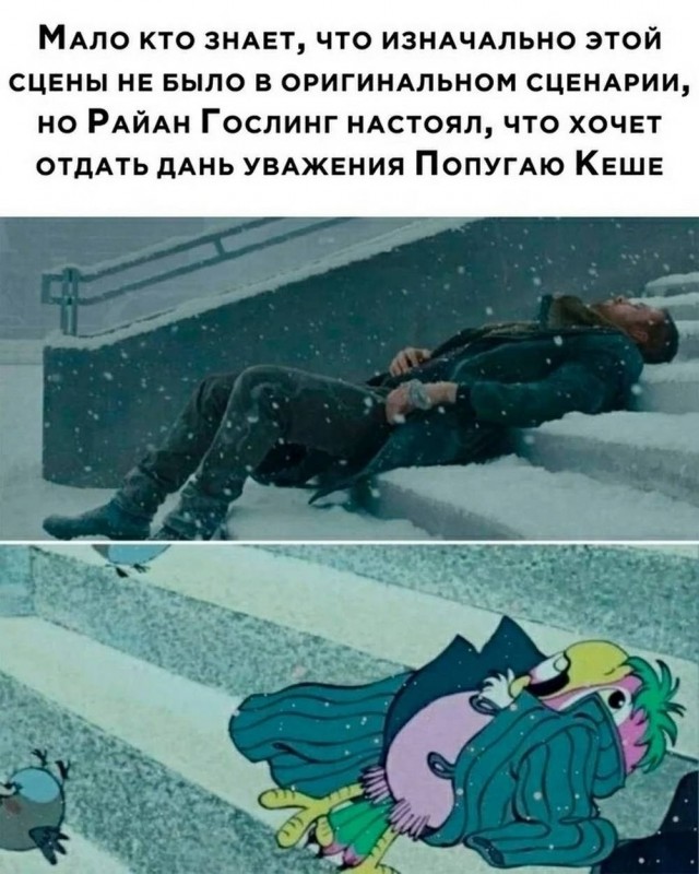 Среды картинки