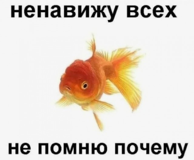Дональд Трамп был замечен в Ормузском проливе