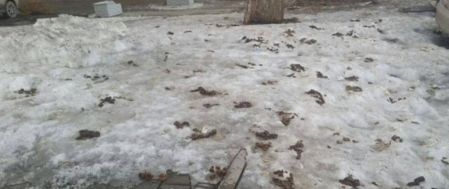 Я думал она нормальная