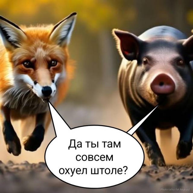 Люблю жареную картошку на сале с лисичками.