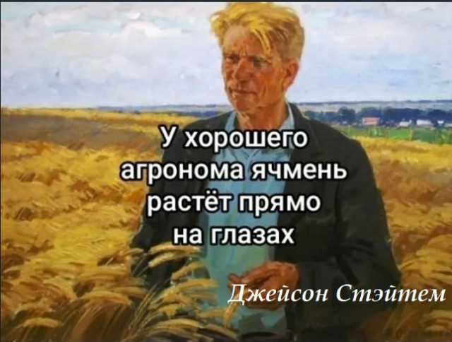 Раскрыта личность «русского Стетхэма». Им оказался агроном из Сибири