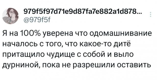 Картинки для деградации 235 (разной степени свежести)