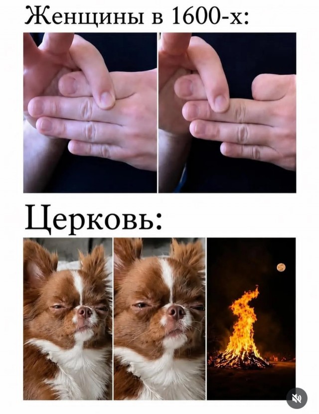 Картинки для деградации 240 (разной степени свежести)