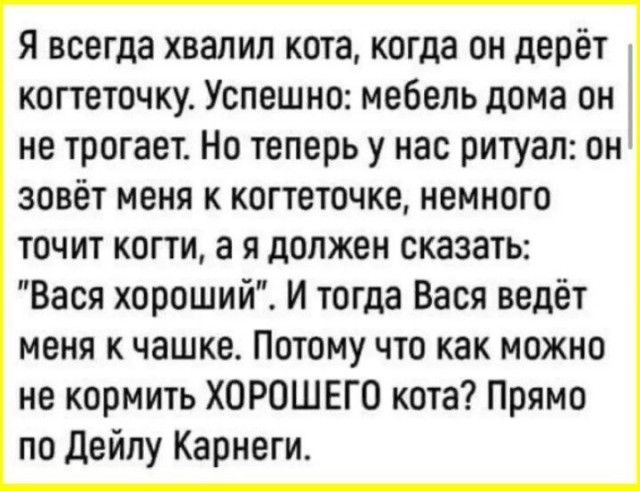 Мемы 30 штук к понедельнику