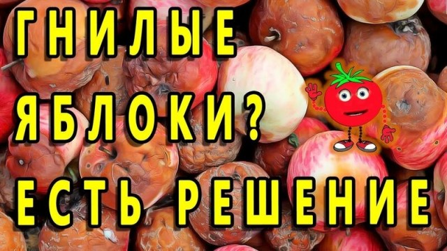 В аэропорту Внуково приземлился самолет ВВС США с базы Эндрюс