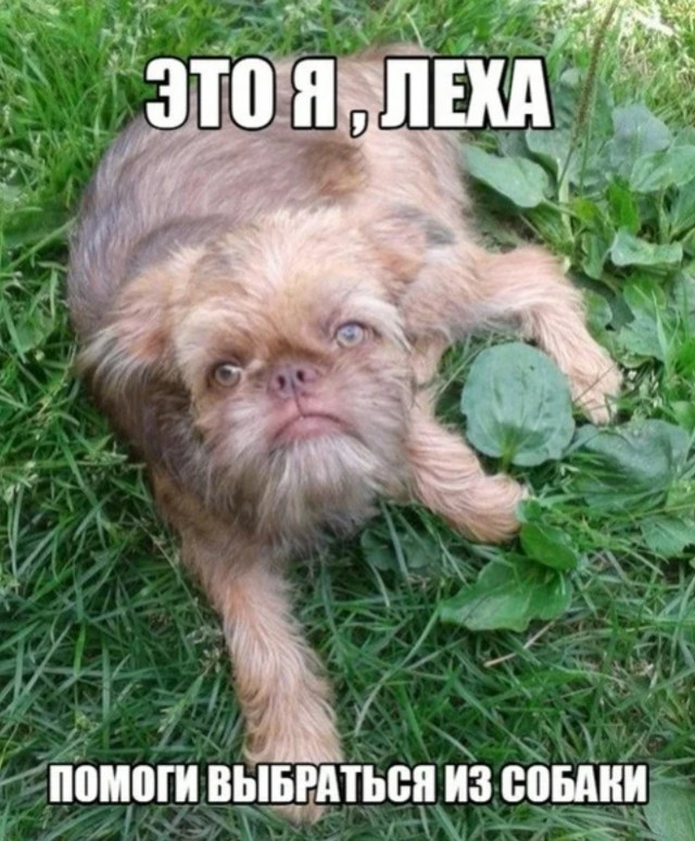 Когда прикорнул на 10 минут днем