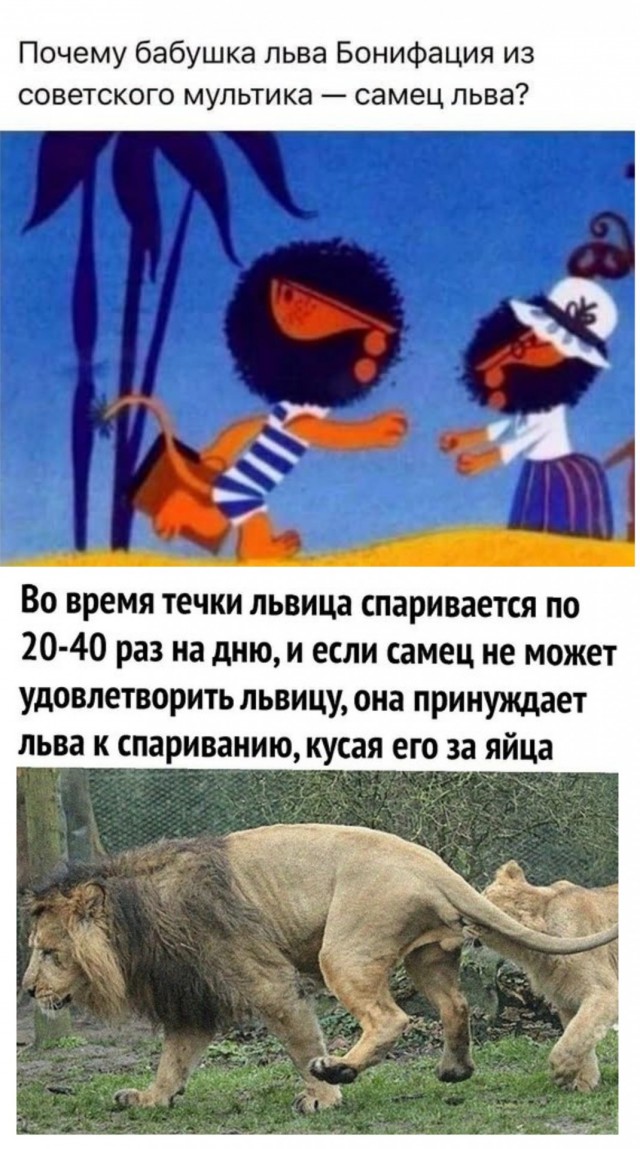 Картинки для деградации 271 (разной степени свежести)