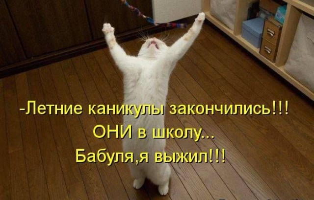 Смотреть можно вечно