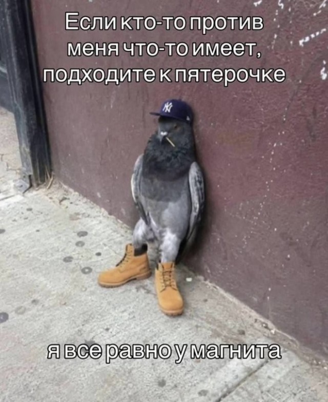 Картинки для деградации 286 (разной степени свежести)