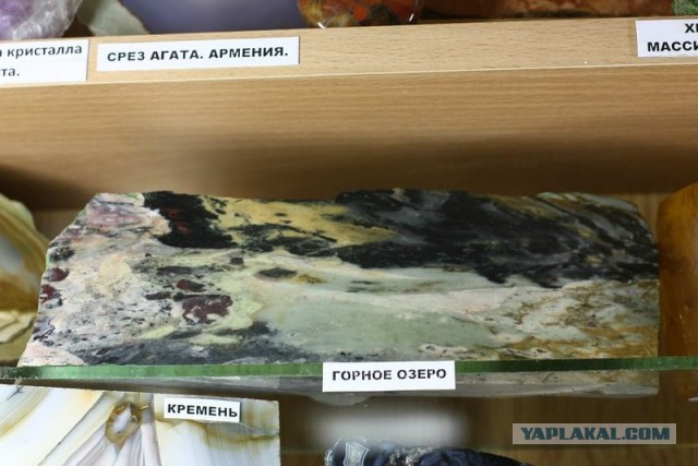 Музей шедевров природы
