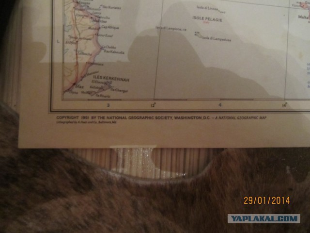 Простить ли немцев за войну?