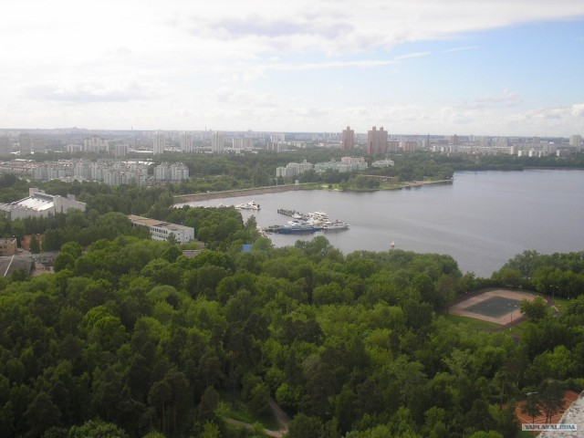 Из-под земли к облакам