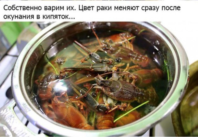 Как правильно варить раков...