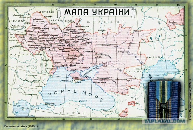 сбитый стервятник