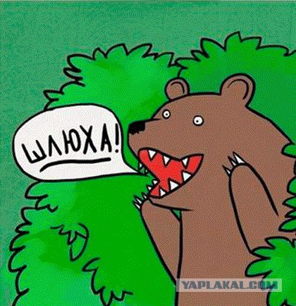 Сексуальный скандал в швейцарском парламенте