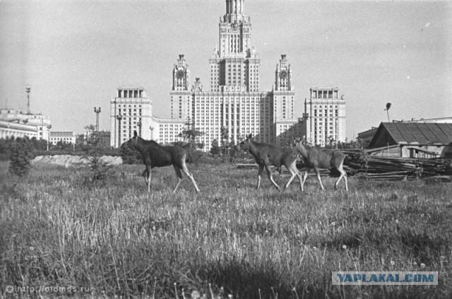 Эхо прошлого в фотографиях
