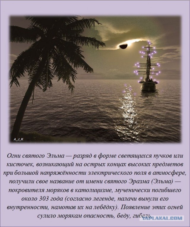 20 фактов обо всем