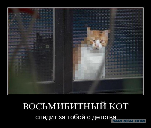 За нами всегда кто-то следит