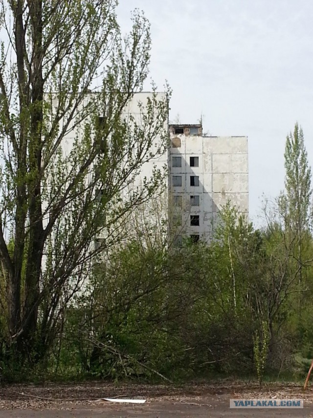 Поездка в Зону Отчуждения