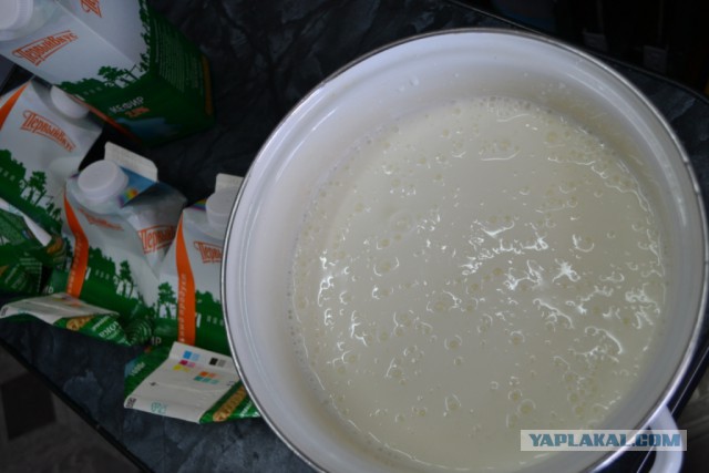 Как зарукожопить домашний сыр