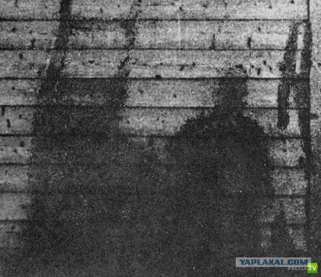 Пропагандистский миф о «ядерной зиме»