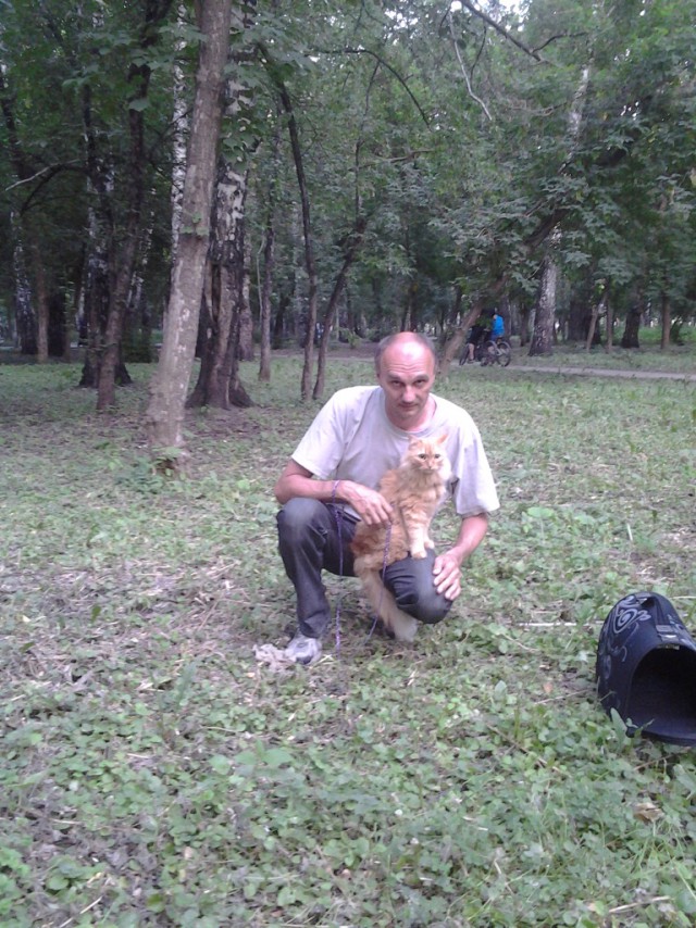 Котовторник 7.07.2015