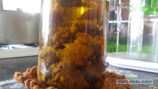 Кухня (кулинарное и околокулинарное общение)