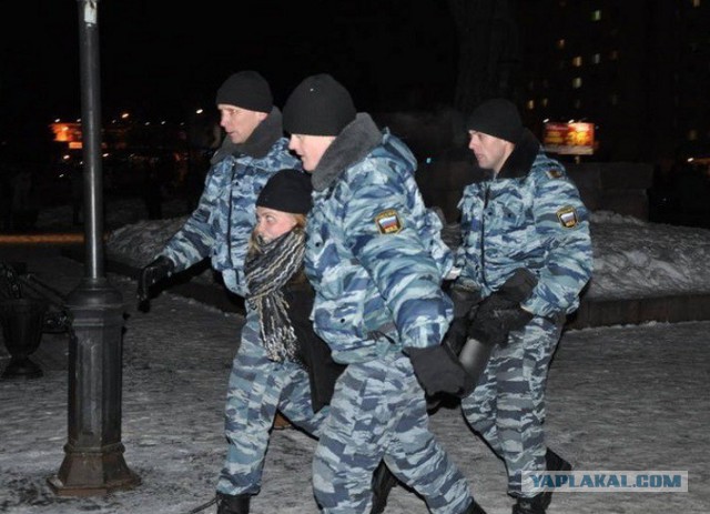 Признали виновной в краже собаки-поводыря.