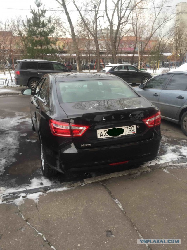 Ладный Вестец