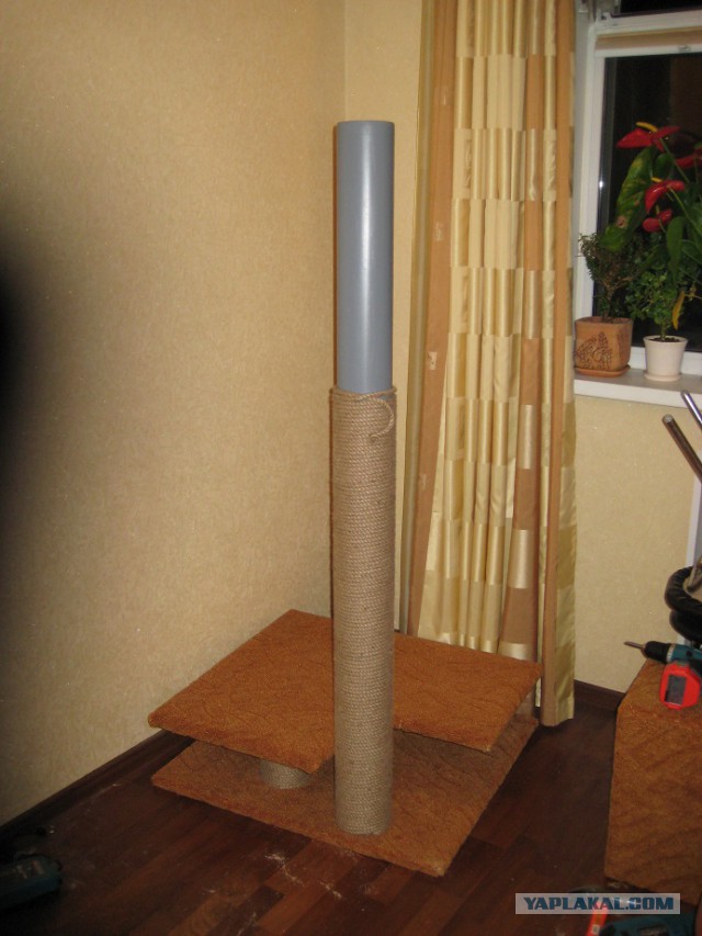 Кошкин дом - он такой