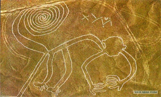 В Питере запрещено доброе утро