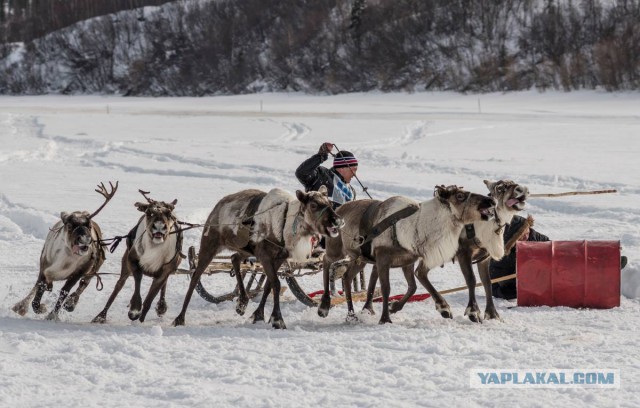 Подборка интересных и веселых фото