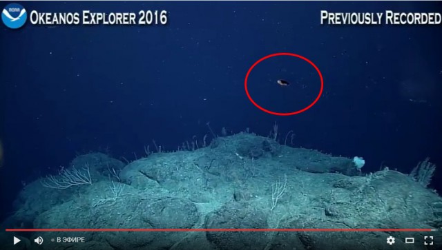 Началась онлайн-трансляция происходящего в самом глубоком месте Земли