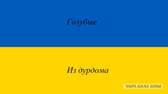 Украина начала строить "Стену" в Луганской области