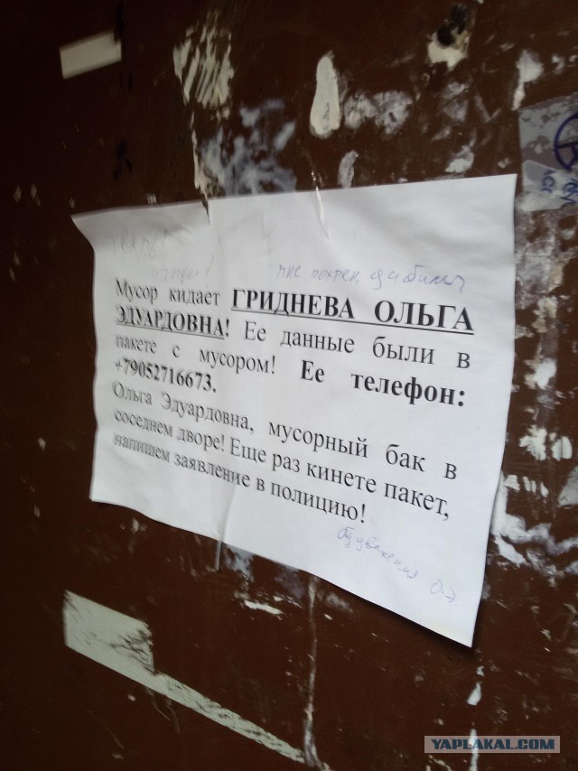 Пучок разных фотографий с телефона.