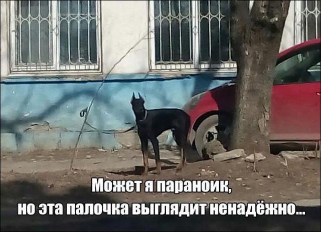 Картинки с надписями