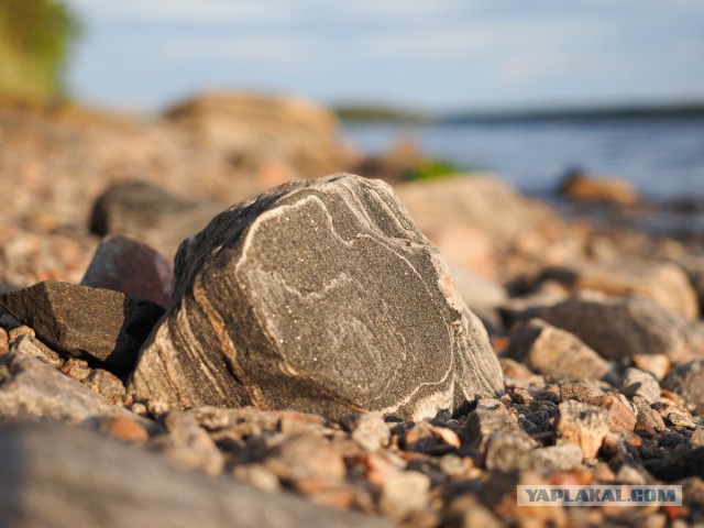 Карелия. Белое море.