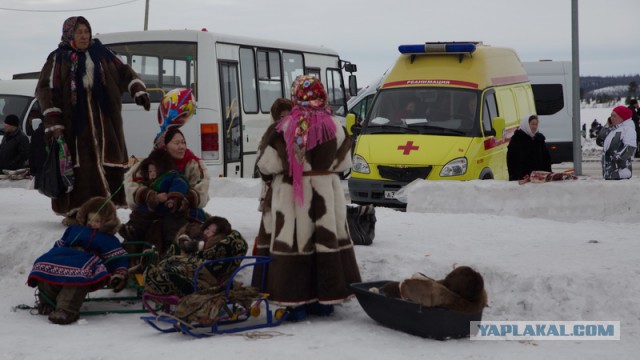 Новый Уренгой-Надым, покатушки  в выходные на День Оленевода