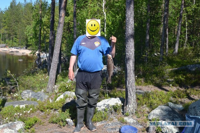 Беседка ФиС ЯПа
