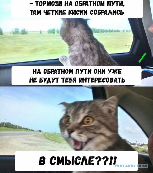 Анекдоты и коротыши, любительские 08.08.2017